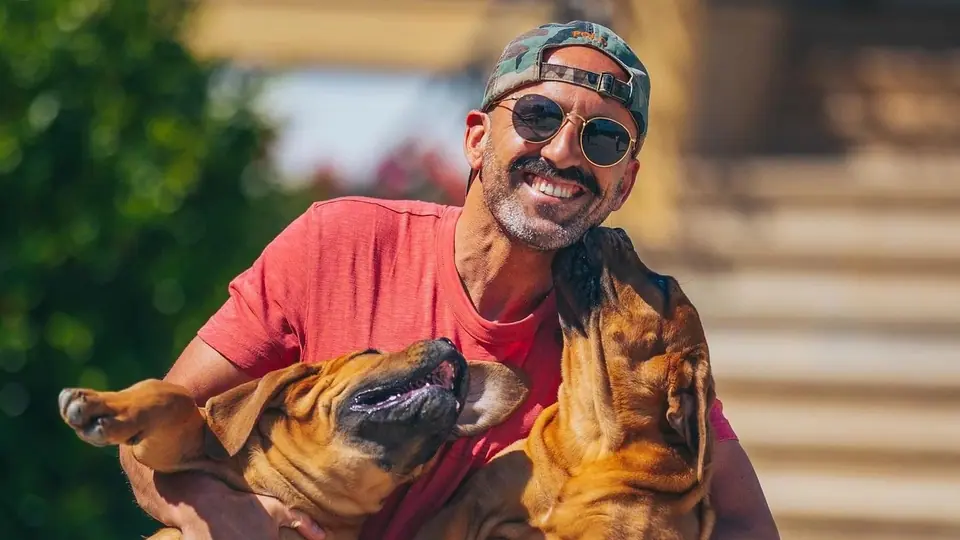 Boerboel vs Pastor Alemão de linhagem de trabalho: qual você deve escolher?